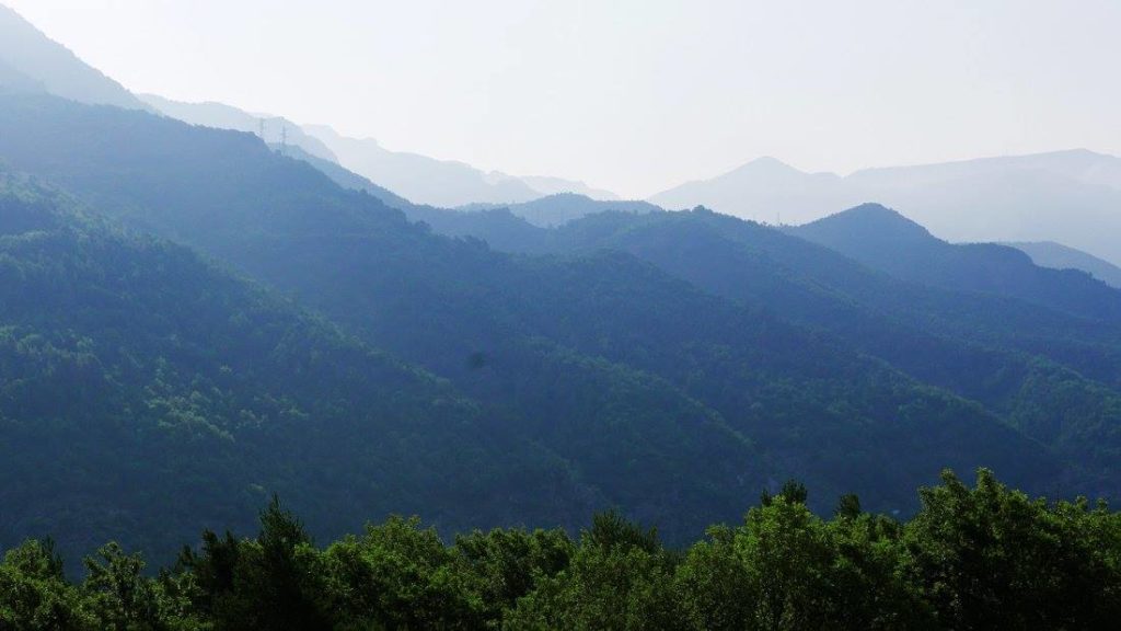 Vedicare, Spa ayurvédique - l'ayurveda, science de la vie