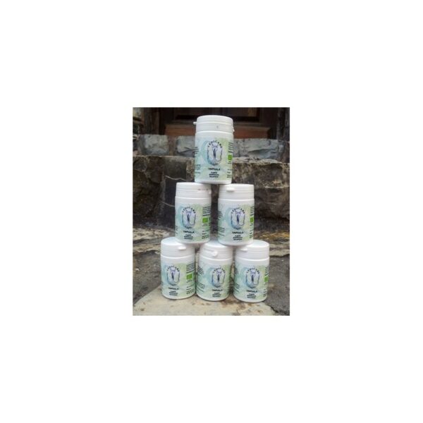 Cure Triphala bio AB 3 mois